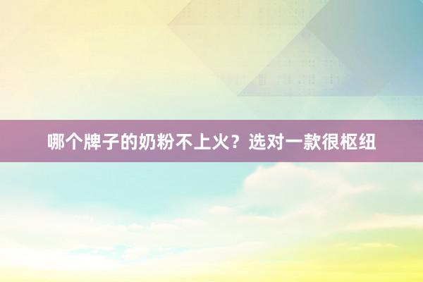 哪个牌子的奶粉不上火？选对一款很枢纽